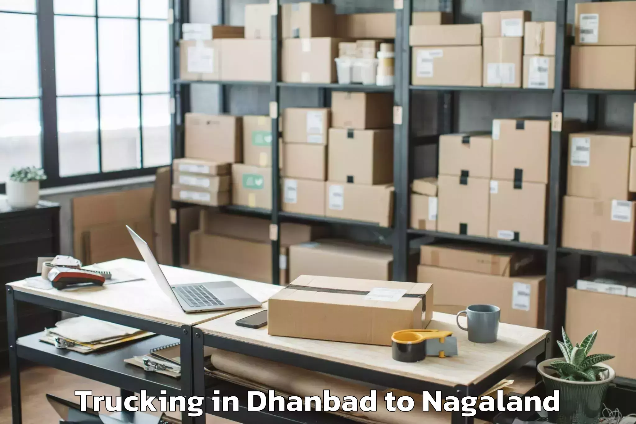 Efficient Dhanbad to Mangkolemba Trucking